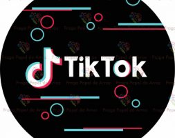 TIK09